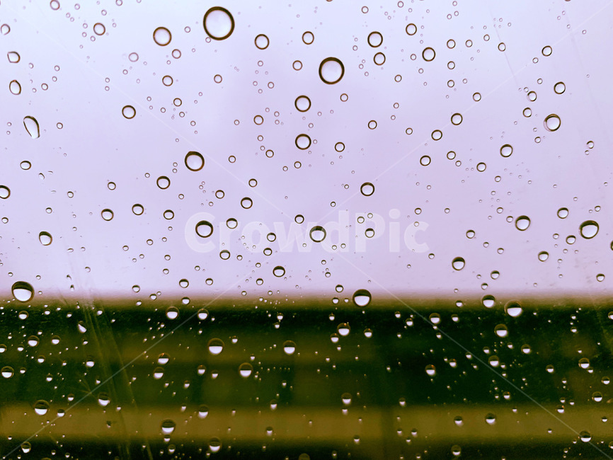 비,빗방울,우산,날씨,흐림,물방울,droplet,작은물방울,비,비오는날,rain,rainy