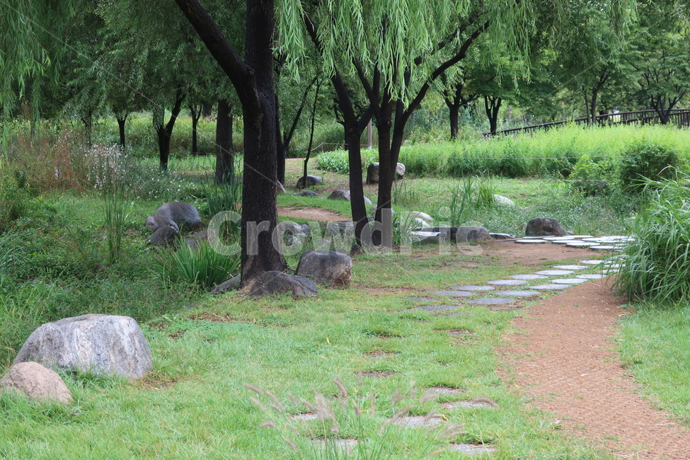 서울,창포원,식물원,도시,공원,습지,조성,숲,산책,산책로,자연,풍경,nature,landscape,tree,나무,plant,식물