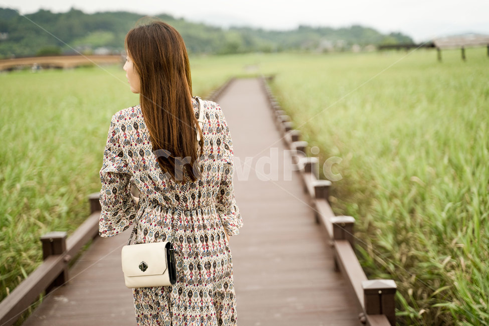 갈대,갈대밭,순천만습지,여자뒷모습,여자,갈대숲길,바람,여름,풍경,자연,nature,background,사람,인물,인간,human,person,여성,여자,woman,female,lady,고독함,외로움,쓸쓸함,우울함,슬픔,lonely,solitary