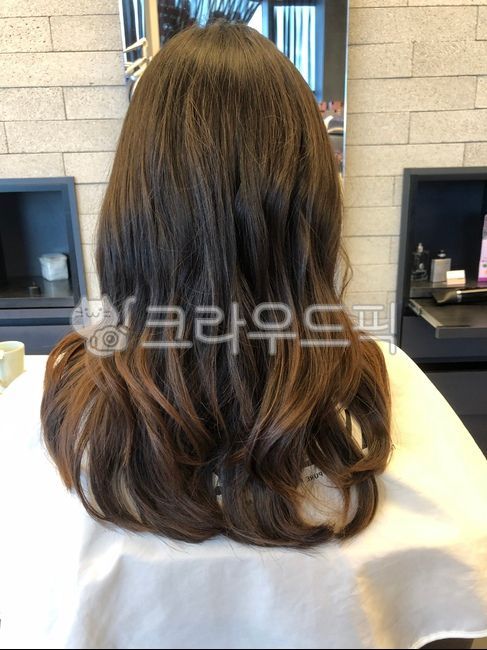 head,hair,hair style,hairstyle