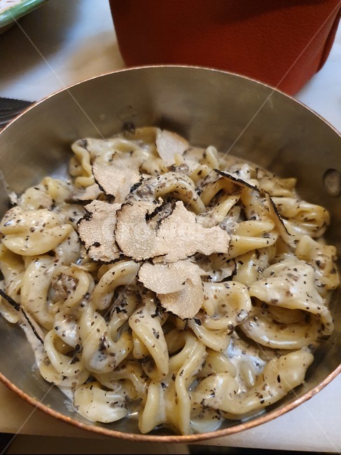 truffle,trufflepasta,파스타,버섯,francefood,italianfood,음식,식재료,요리,food,cook,meal,dishes,food reserves,면류,면요리,noodles