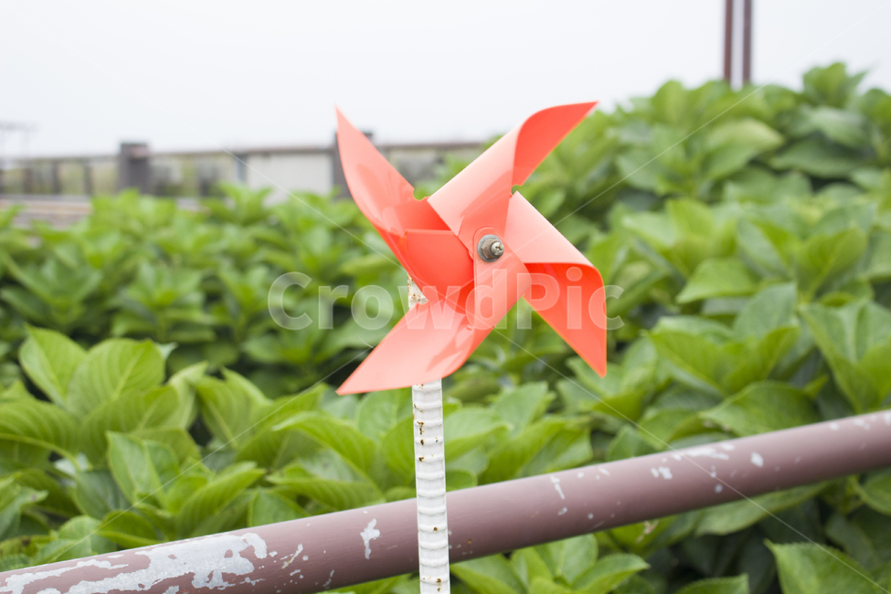 바람개비,장난꾸러기,어린시절,파릇파릇,장난감,바람,동네,옛추억,주황색,화창함,봄,빙글빙글