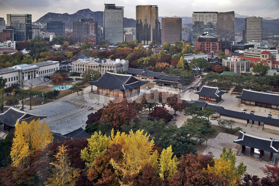 덕수궁,궁궐,가을,자연,도심,건물,빌딩,한국전통,한국문화,korean traditional,korean culture