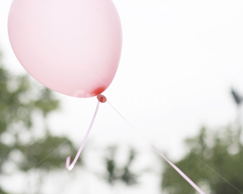 풍선,벌룬,분홍색,공원,balloon