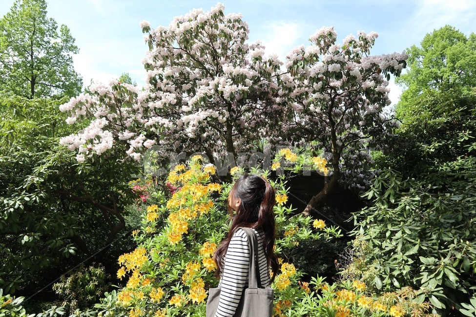 스위스,인물,옆모습,flower,clothing,의류,apparel,의복,outdoors,옥외,landscape,경치,nature,자연,scenery,풍경,인간,person,베른,강물,사람,human,switzerland,bern,landmark,사람옆모습,portrait,사람,인물,인간,human,person,여성,여자,woman,female,lady,여행,휴가,traveling,vacation,trip