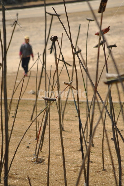 솟대,조형물,장식,순간포착,아웃포커스,pole,sculpture,artwork,captured,outfocus,한국전통,한국문화,korean traditional,korean culture,조각상,동상,석상,조형물,statue,bronze statue,stone statue
