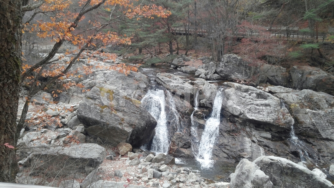 풍경,경치,자연,산,계곡