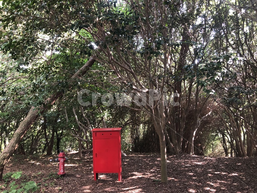 우체통,숲속,postbox,letter,편지