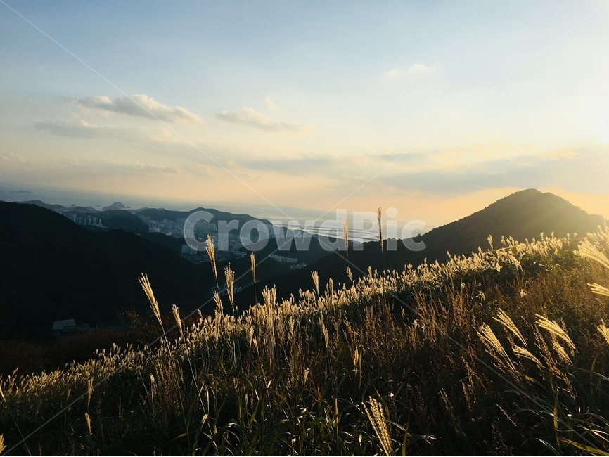 노을,sunset,승학산,mountain,하단,을숙도,낙동강,자연,풍경,nature,landscape,한국자연풍경,한국자연경관,korea nature landscape,plant,식물,grass,잔디