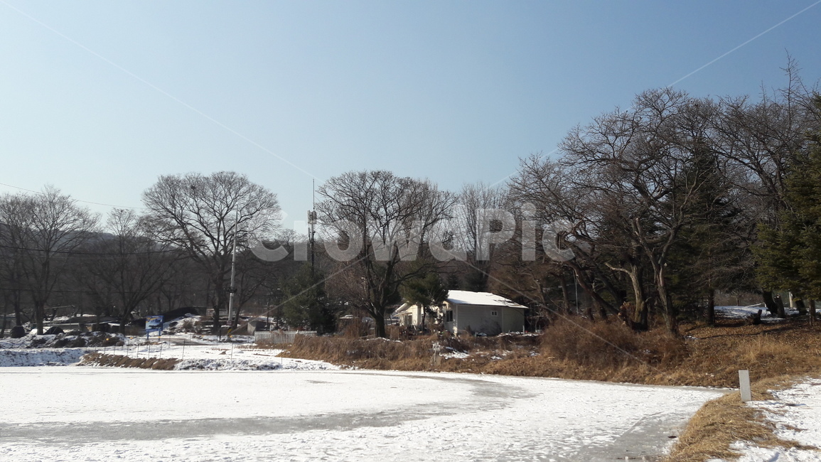 겨울풍경,눈,풍경,나무,집,겨울,계절,winter,season,자연,풍경,nature,landscape,outdoors,옥외,building,건물