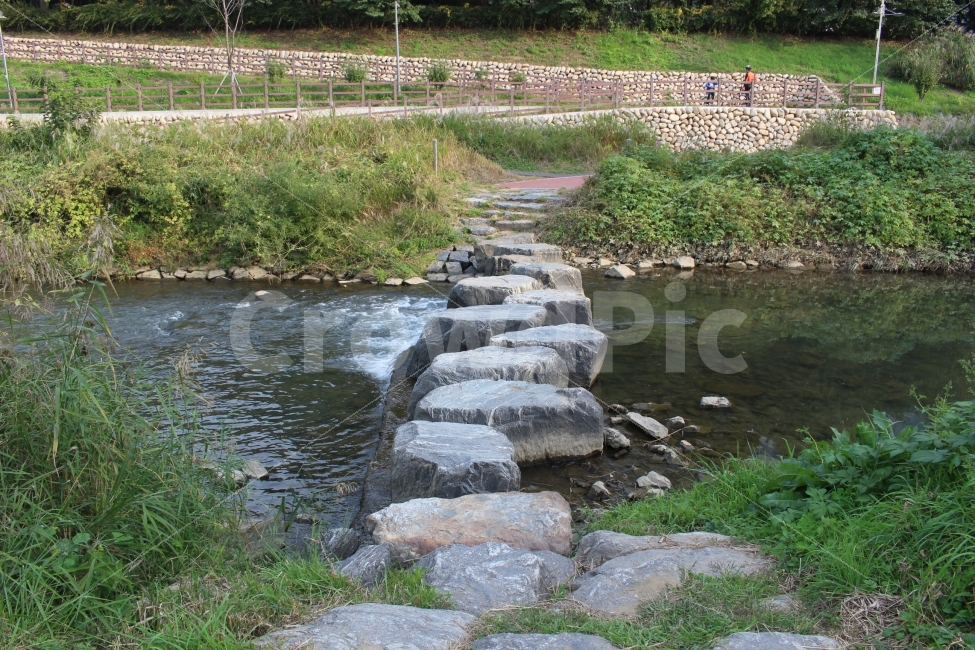 stepping stone,nature,sunshine,tree,pool,riverside,water,summer,stone,outdoor,spring,stream,plant,river,bridge,lake
