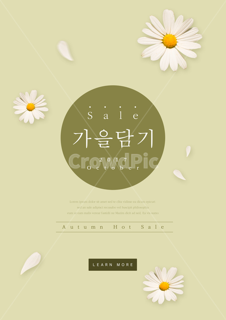 국화,꽃,꽃잎,가을,이벤트,쇼핑,팝업,가을,계절,fall,autumn,season,축제,행사,festival,carnival,event,쇼핑,shopping,그래픽,일러스트레이션,graphic,illustration