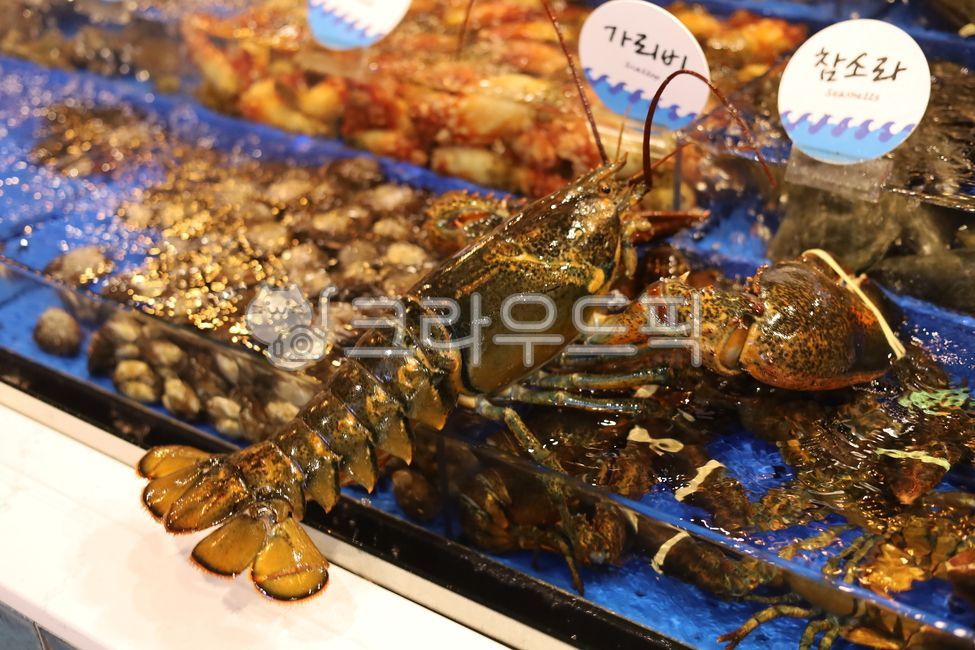 lobster, 랍스터, animal, 동물, food, 사진,이미지,일러스트,캘리그라피 - 산타고라니작가