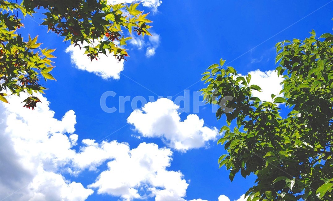 풍경,구름,하늘,강,여름풍경,자연,풍경,nature,landscape