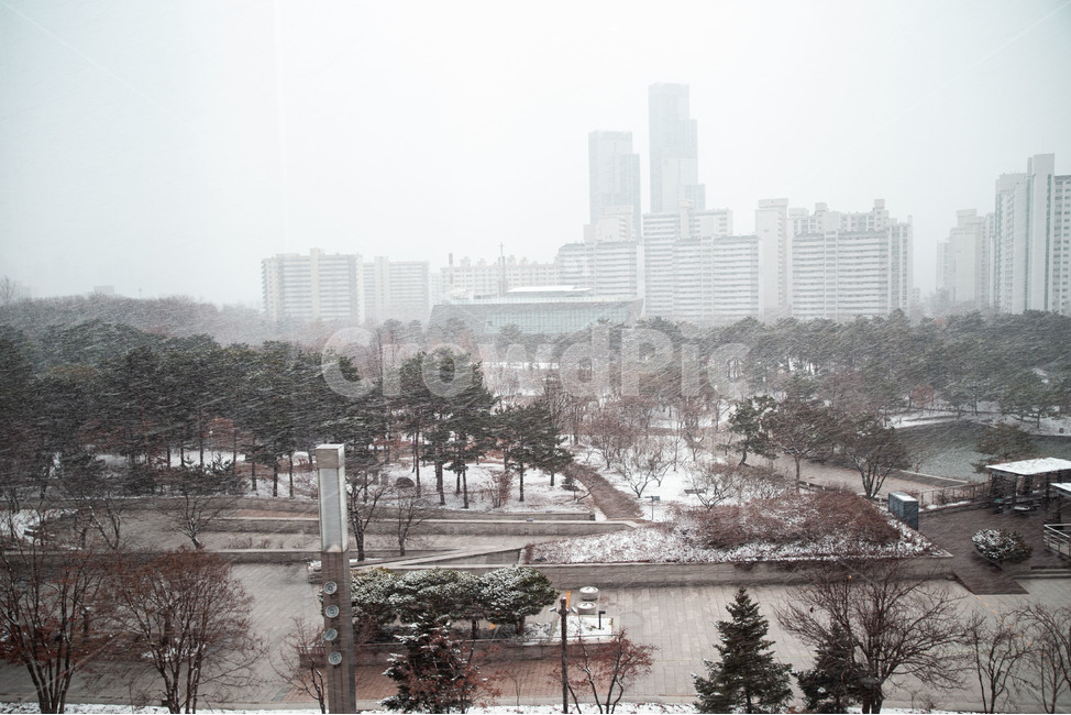 nationalmuseumofkoreaonasnowyday,국립중앙박물관,연못풍경,nature,자연,outdoors,옥외