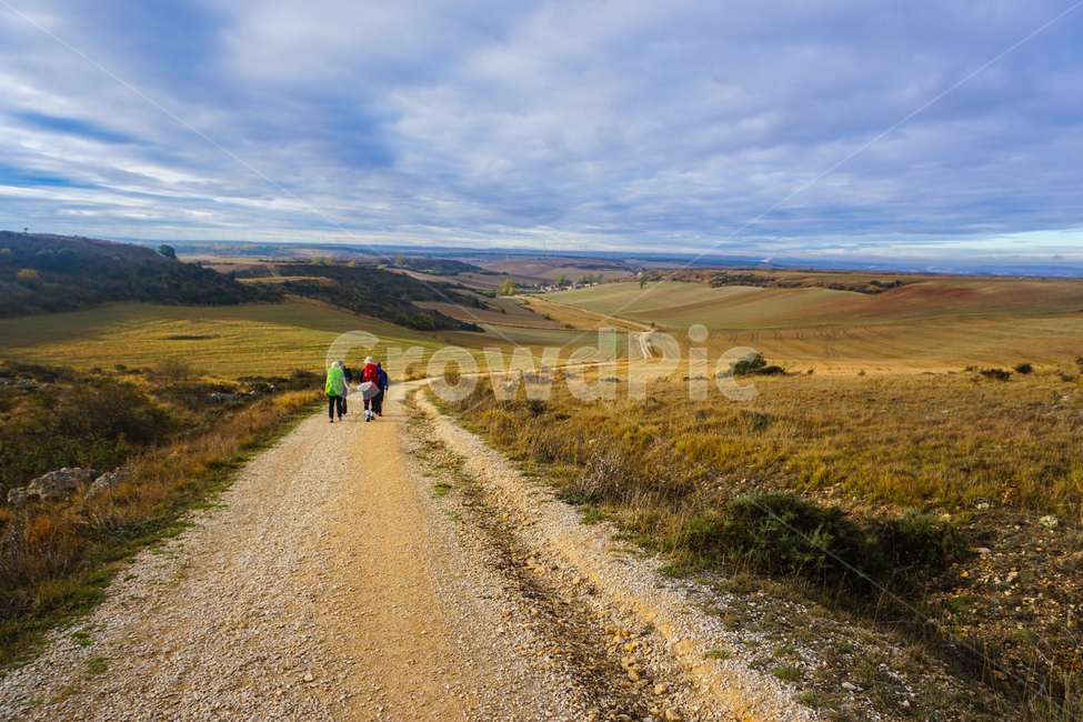 유럽,스페인,풍경,산티아고,순례길,자연,풍경,nature,landscape,해외,외국,세계,foreign,oversea,world,세계자연풍경,해외자연풍경,외국자연풍경,world nature landscape,사람들,대중,군중,other people,crowd,road,도로,dirt road,흙길,gravel,자갈,ground,바닥