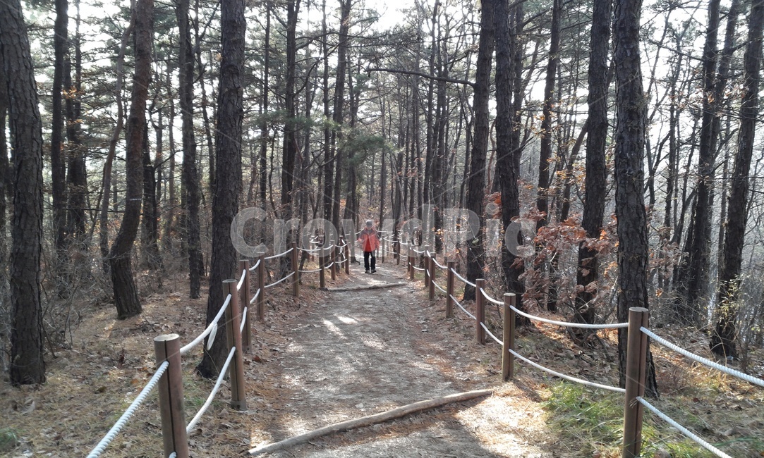 자연,산길,오솔길,나무,산속,자연,풍경,nature,landscape