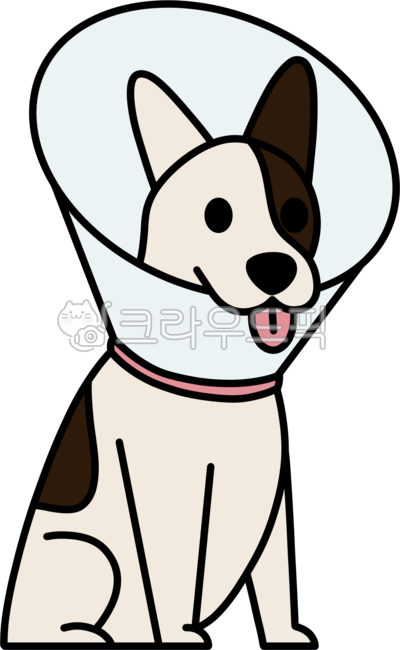 Neck collar,protector,neck brace,veterinary hospital,hospital,treatment,animal,funnel,protection,recovery,companion animal