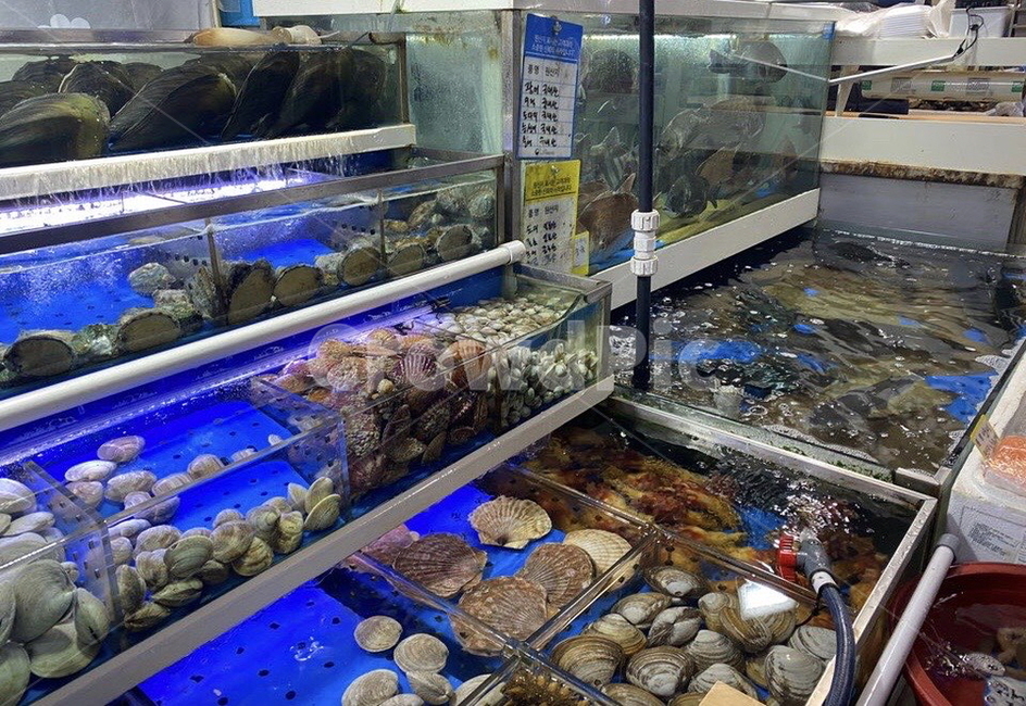 노량진,노량진수산시장,해산물,시장,수산시장,해물,수산물,시장,마트,마켓,market,mart,market place