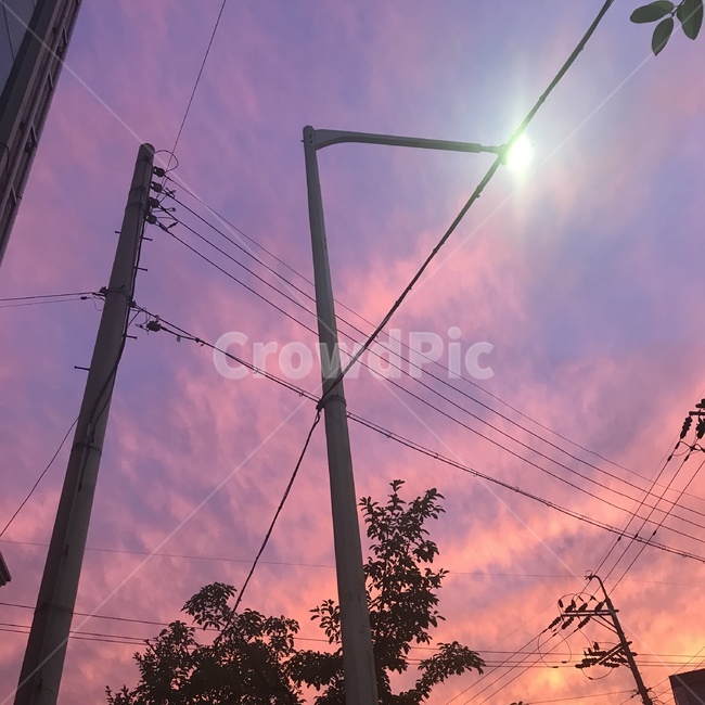 풍경,노을,하늘,가로등,감성,sky,sunset,streetramp,emotional,pink,pinksky,핑크하늘,전선