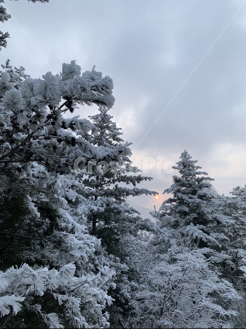 겨울,눈,풍경,자연,스키장,겨울,계절,winter,season