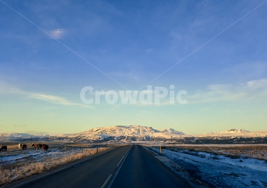 아이슬란드,iceland,ringlord,1번국도,말,링로드,여행자도로,도로,여행자,여행,trip,travel,traveler,mountain,산,설산,파란하늘,하늘,sky,sunlight,겨울,계절,winter,season,자연,풍경,nature,landscape,해외,외국,세계,foreign,oversea,world,세계자연풍경,해외자연풍경,외국자연풍경,world nature landscape,동물,animal,포유류,mammal,교통,교통수단,traffic,transportation,road,highway,고속도로,freeway,고속 도로