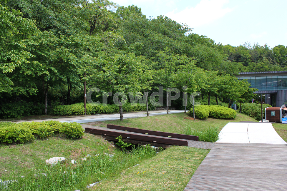 한국,서울,자연,북서울꿈의숲,공원,정원,나무데크,데크,나무바닥,산책로,산책길,나무,조경,산,그린,초록색,녹색,낮,언덕,자연,풍경,nature,landscape,grass,잔디,plant,식물,bench,벤치,path,통로