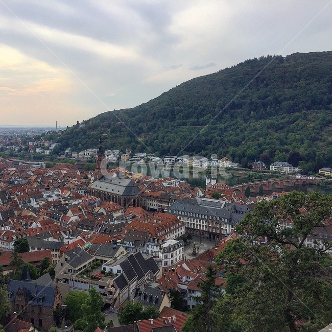 outdoors,옥외,landscape,경치,nature,자연,scenery,풍경,aerialview,조감도,germany,heidelberg,독일,하이델베르크
