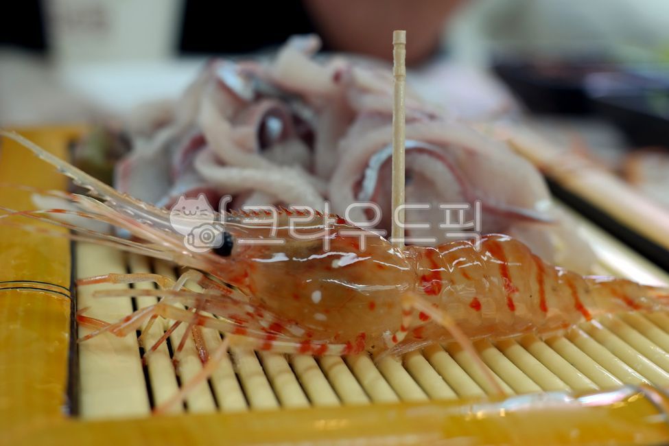 도화새우,독도새우,꽃새우,닭새우,새우회,날것,회,새우,생새우,음식,요리,식재료,갑각류,횟집,수산물,해산물,해물,pandalushypsinotus,shrimpsashimi,rawfish,shrimp,food,crustaceans,restaurant,seafood,raw,prawn
