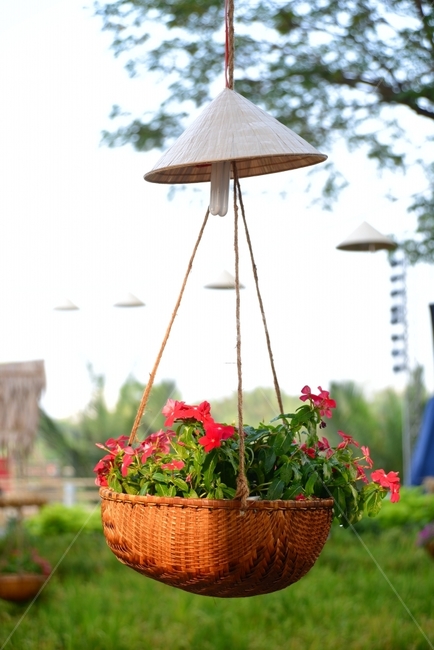 natural scenery,nature,sight,flower,Emotional photo