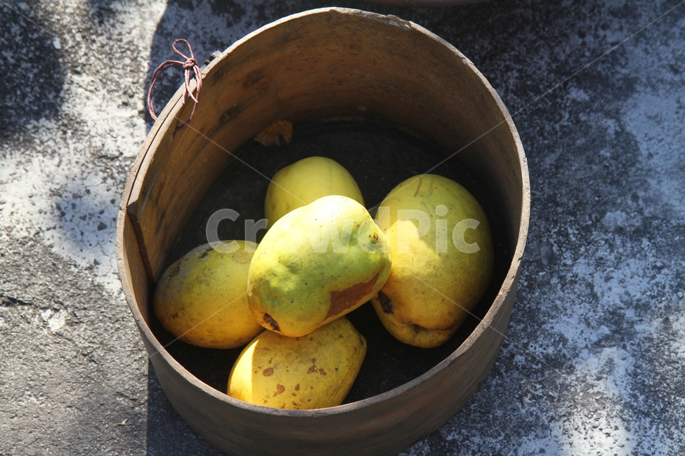 모과,체와모과,가을풍경,체,감성사진,음식,식재료,요리,food,cook,meal,dishes,food reserves,과일,열매,fruit