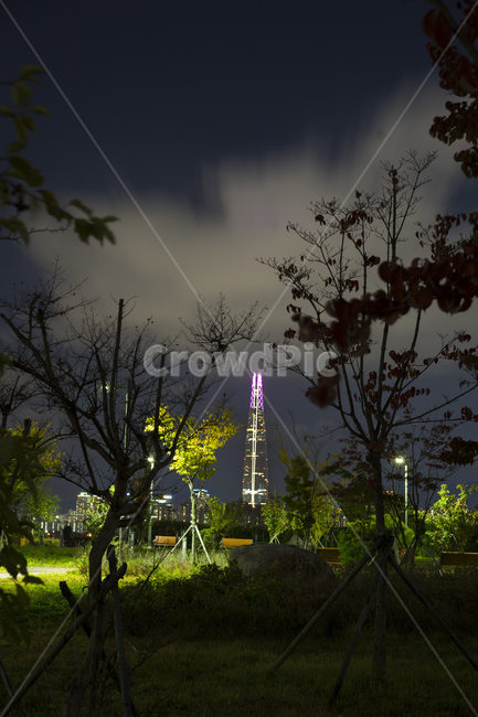 야경,한강,서울야경,밤,nightview,nightscape,야경,밤,풍경,nightscape,night,landscape,도시,city,한국도시풍경,한국도시경관,korea cityscape,랜드마크,landmark,tourist attraction,한국랜드마크,한국관광지,한국명소,korea landmark,korea tourist attraction,nature,자연,outdoors,옥외