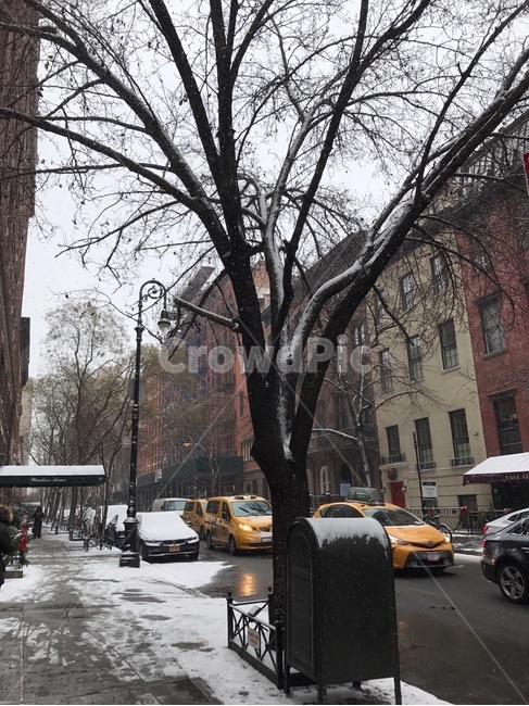 transportation,교통,vehicle,차량,building,newyork,road,거리,겨울,계절,winter,season,세계도시풍경,해외도시풍경,외국도시풍경,world cityscape