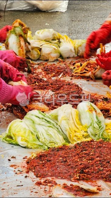Kimchi,kimchi,countryside,winter,Rubber glove