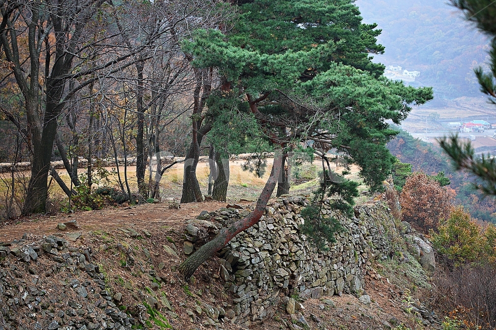 전등사,산성,성,성곽,길,둘레길,숲,숲길,담,돌담,가을,자연,풍경,식물,벽,방어벽,낙엽,단풍,가을,계절,fall,autumn,season,자연,풍경,nature,landscape