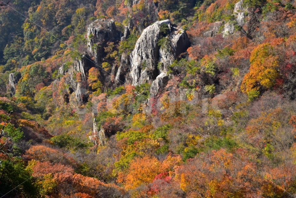 대둔산,가을,풍경,단풍,탐방,도립공원,빨간단풍,파란하늘,가을색,오색,울긋불긋,알록달록,그림같은,칼라풀,뷰티플,아름다운,힐링,감성,자연,정취,산세,명산,100대명산,nature,산,등산,트레킹,풍경사진,비경,경치,가을사진,가을색채,가을의정취,맑음,청명,가을날씨,경관,기암,암봉우리,mountain,금산,완주,논산,낙조대,낙조산장,마천대,케이블카,구름다리,삼선계단,가을,계절,fall,autumn,season,자연,풍경,nature,landscape,한국자연풍경,한국자연경관,korea nature landscape,outdoors,옥외