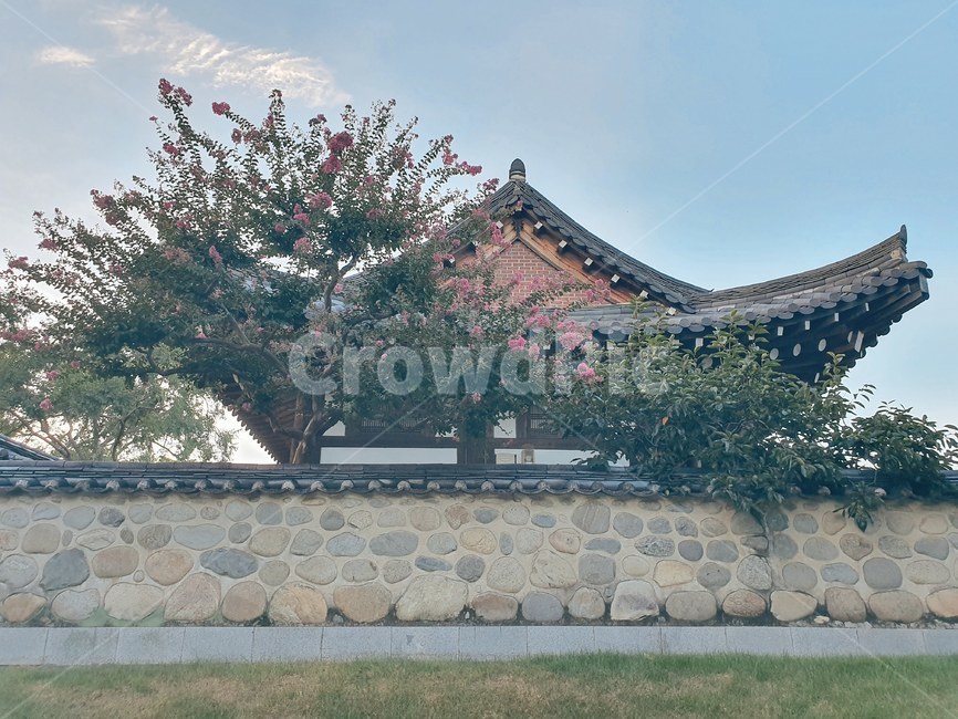 성,배롱나무,한국,한옥,기와,돌담,처마,풍경,한국전통,한국문화,korean traditional,korean culture,건축물,건물외관,exterior,building,structure,architecture,construction