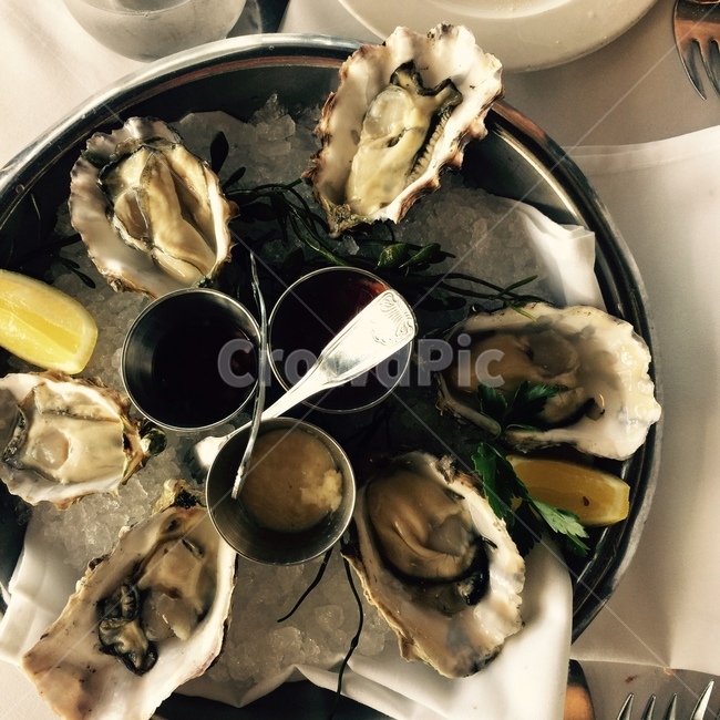 sealife,해양생물,seafood,해산물,굴요리,굴,레스토랑,식사,meal,음식,생굴