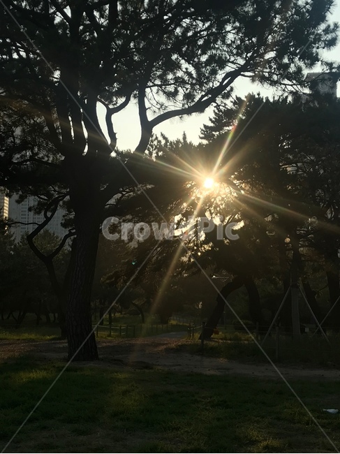 light,빛,flare,햇빛,노을