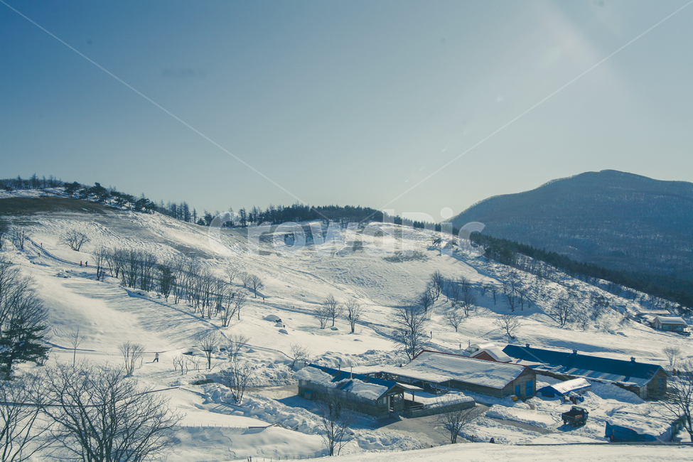 nature,자연,outdoors,옥외,mountain,산,설산,눈,목장,풍경,겨울,계절,winter,season