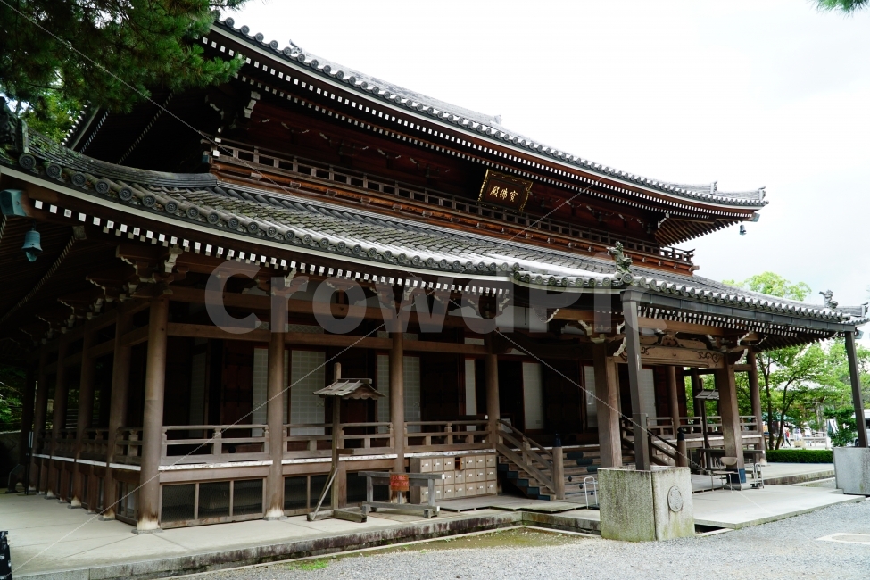 일본,일본여행,외국,외국여행,해외,해외여행,여행,교토,쿄토,kyoto,지온인,치온인,지은원,일본문화,문화,일본문화재,문화재,역사,일본유적,일본유적지,유적,유적지,유네스코세계문화유산,japan,아시아,asia,동양,일본식한옥,일본식가옥,일본식건축,일본역사,나무,공원,tree,자연,풍경,불교,절,사찰,종교,지붕,기와,신앙,소원,소망,history,히스토리,건축물,건물외관,exterior,building,structure,architecture,construction,해외,외국,세계,foreign,oversea,world,랜드마크,landmark,tourist attraction,종교,신앙,religion,belief,faith