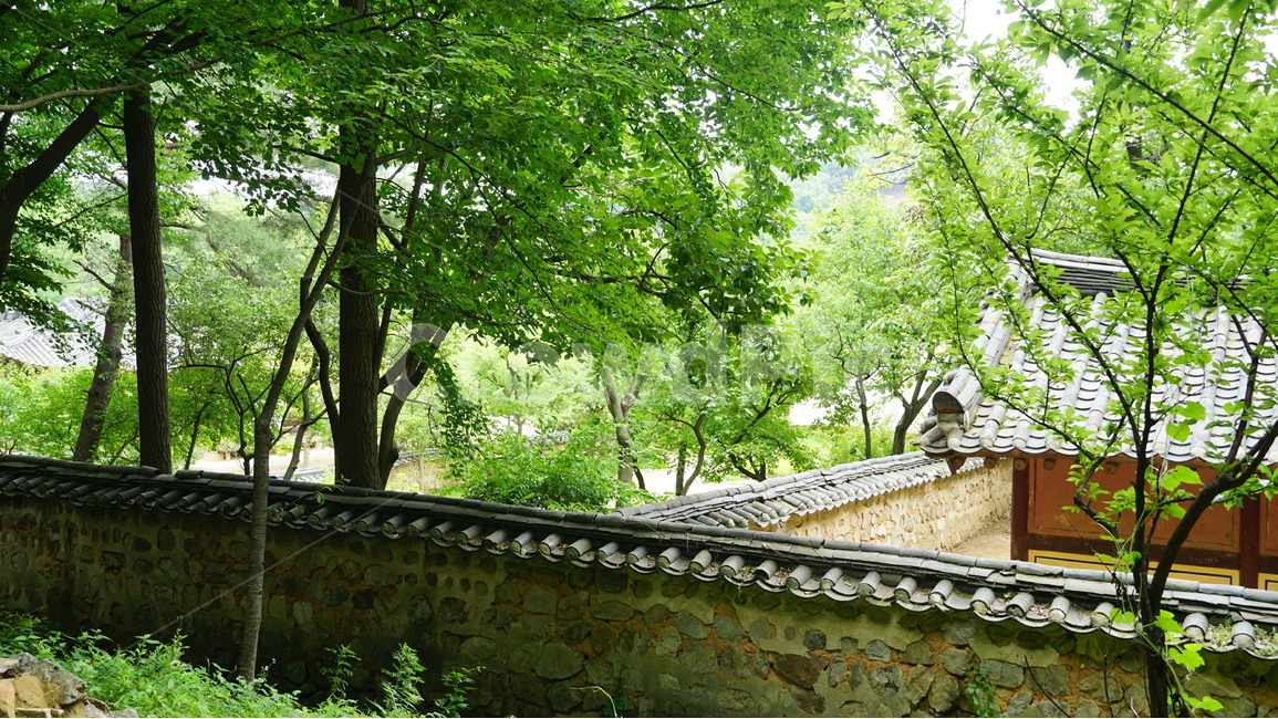 한국,민속촌,집,자연,풍경,한국전통,한국문화,korean traditional,korean culture,건축물,건물외관,exterior,building,structure,architecture,construction