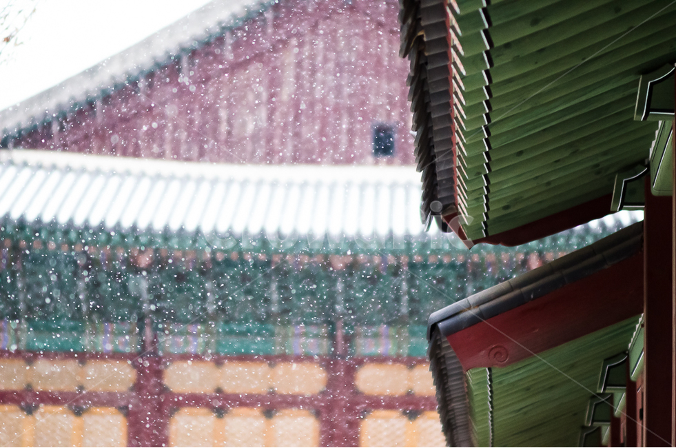 눈,창경궁,아웃포커싱,눈오는날,궁,한국,전통,한국의,korean,겨울,계절,winter,season,한국전통,한국문화,korean traditional,korean culture,건축물,건물외관,exterior,building,structure,architecture,construction