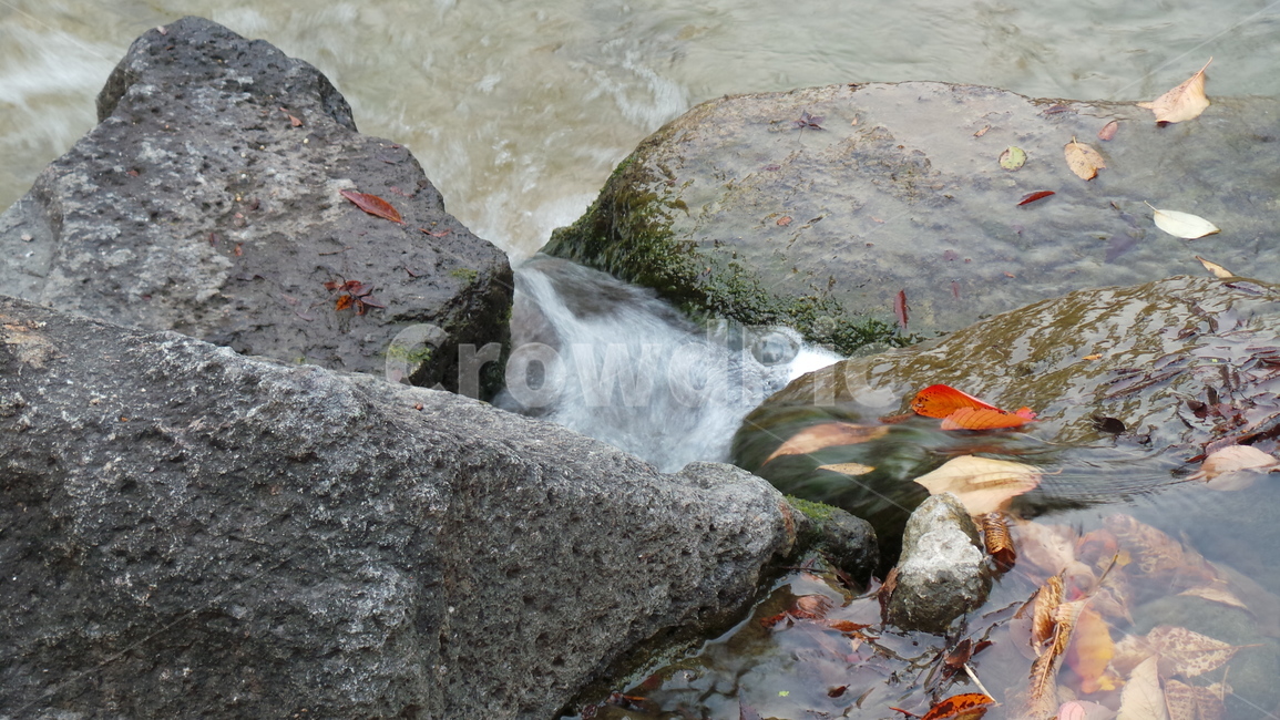 낙엽,시냇가,소용돌이,물가,자연,water,물,청량,나뭇잎,잎,돌,바위,자연배경,가을,계절,fall,autumn,season,nature