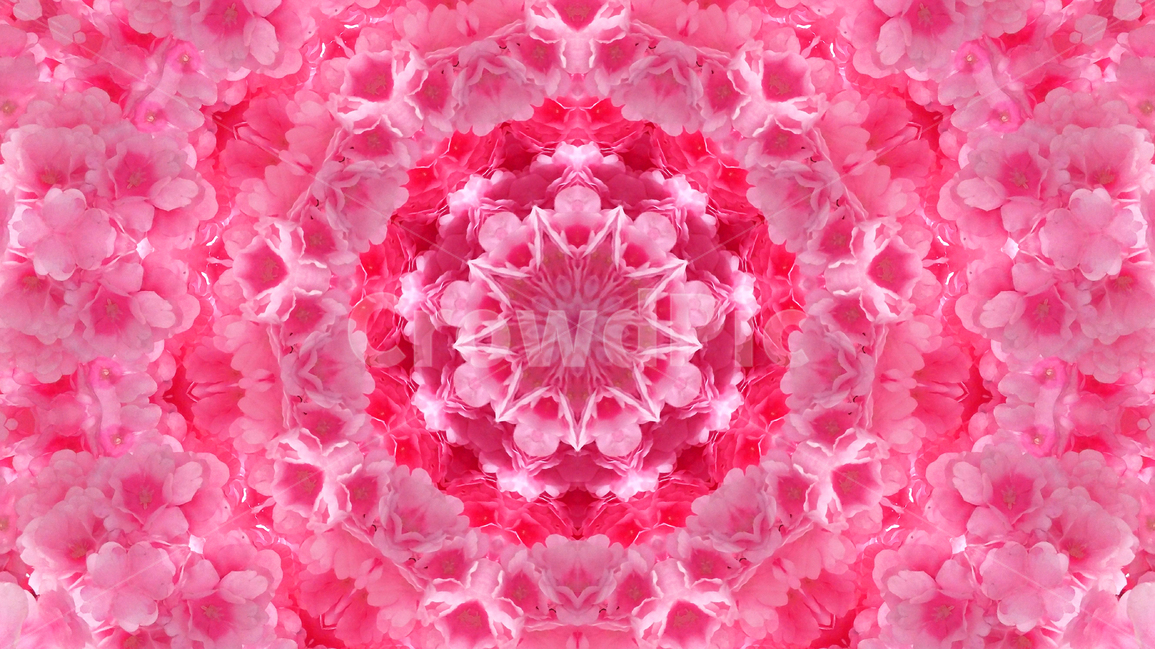 패턴,기하학,추상,360도,배경,환상적,background,wallpaper,색감,색상,아름다운,artistic,칼라풀,예쁜,모던,morden,백그라운드,디자인,graphic,design,art,feeling,emotion,sensibility,colorful,분위기,필링,그래픽,라인,컨셉,디자인소스,화려한,아트,샤프한,웹,느낌,효과,웨이브,꽃무늬,핑크색,분홍색,pink,꽃,flower,텍스처,질감,패턴,texture,pattern