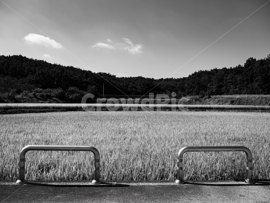자연,시골,농사,흑백,식물,하늘,산,쌀,landscape,nature,vegetation,blackwhite,farm,farming,sky,mountain,rice,시골,마을,풍경,landscape,country,rural,town,흑백,모노톤,monochrome,black and white