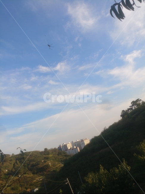 nature,자연,거미,산책,옥외,자연,풍경,nature,landscape,outdoors