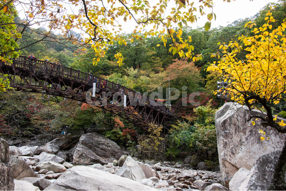 설악산,국립공원,천불동계곡,가을,단풍,양폭,가을,계절,fall,autumn,season,자연,풍경,nature,landscape,한국자연풍경,한국자연경관,korea nature landscape,rubble,파편
