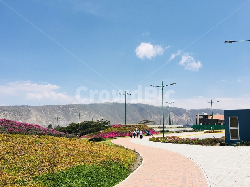에콰도르,키토,해외,산책로,oversea,foreign,꽃,flower,quito,하늘,맑음,구름,weather,sky,cloud