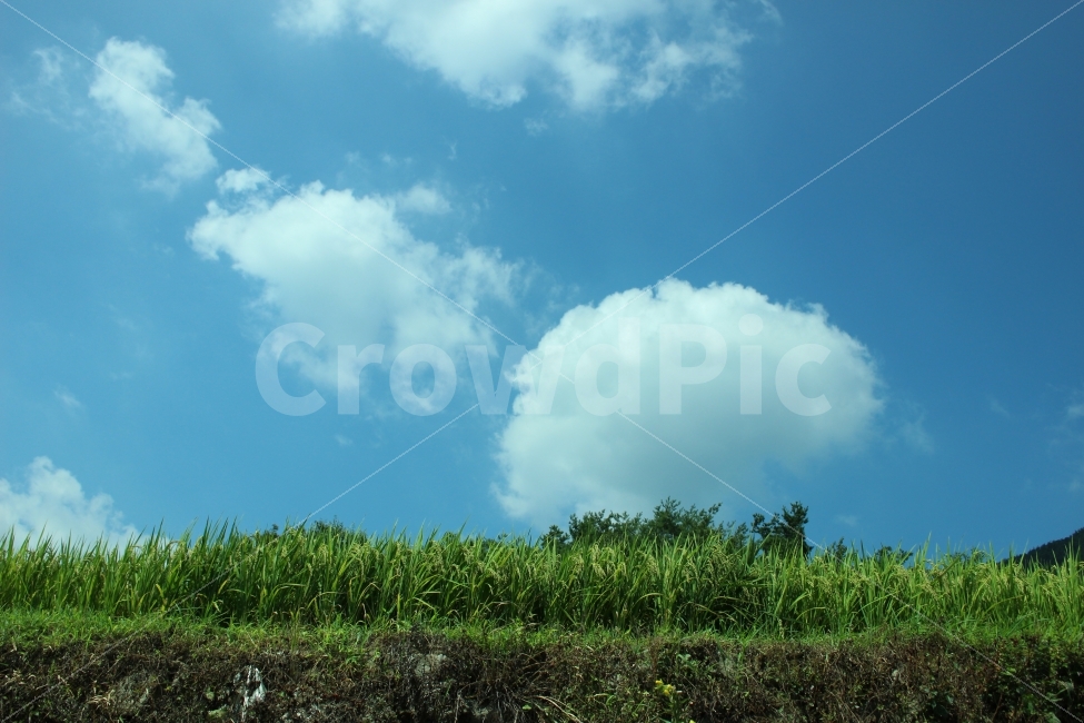 지리산,휴가,여행,산,힐링,펜션,자연,가을,자연,풍경,nature,landscape,outdoors,옥외,sky,하늘,azure sky,푸른 하늘,weather,날씨,cloud,구름,cumulus,적운